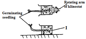 Question illustration